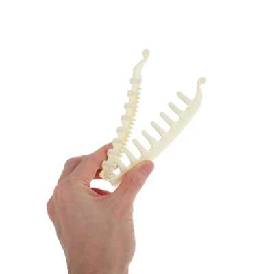 Unique Bargains Women's Fashion Banana Hair Clips 2Pcs 2 Unique Bargains Women's Fashion Banana Hair Clips 2Pcs - Image 2