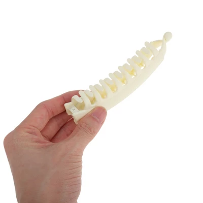 Unique Bargains Women's Fashion Banana Hair Clips 2Pcs 3 Unique Bargains Women's Fashion Banana Hair Clips 2Pcs - Image 3