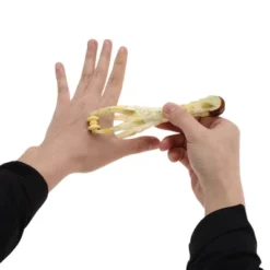 Unique Bargains Portable Finger Hand Massager Assorted Color 1 Pc -UNIQUE BARGAIN Shop GUEST da1371c7 4b69 4b20 8532 d1f476752b73